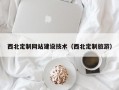 西北定制网站建设技术（西北定制旅游）