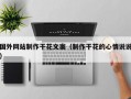 国外网站制作干花文案（制作干花的心情说说）
