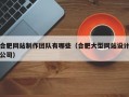 合肥网站制作团队有哪些（合肥大型网站设计公司）