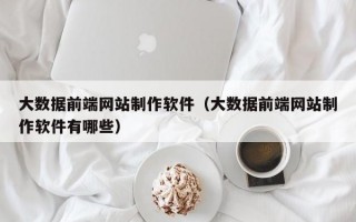 大数据前端网站制作软件（大数据前端网站制作软件有哪些）