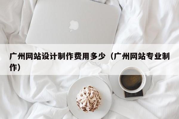 广州网站设计制作费用多少(广州网站专业制作)